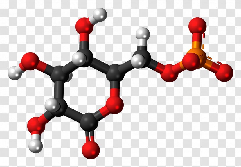 Trichloroisocyanuric Acid Trimesic Caffeic Benzoic Anhydride - Tree - Blood Glucose Transparent PNG