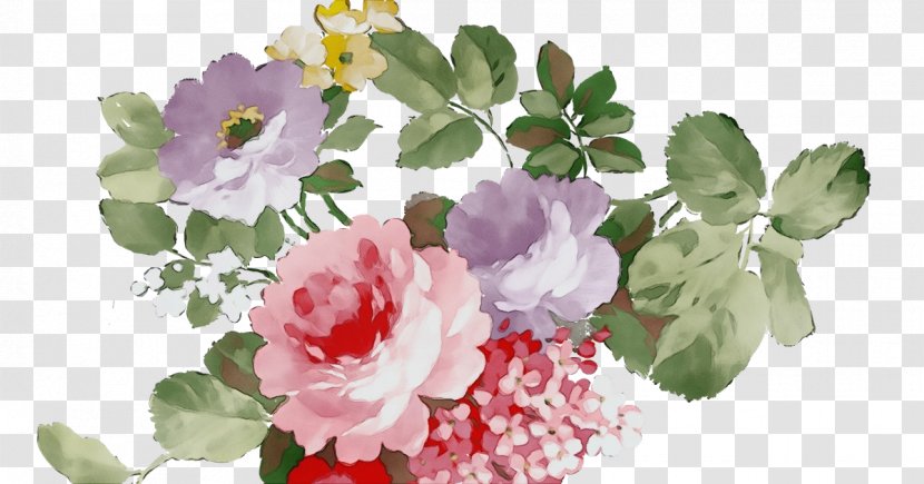 Cut Flowers Vector Graphics Floral Design - Houseplant - Rose Family Transparent PNG
