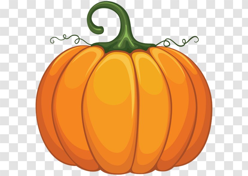 Pumpkin Clip Art - Natural Foods Transparent PNG