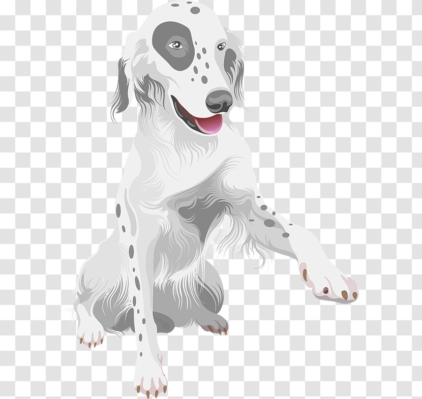 German Shepherd Guard Dog White Cuteness - Pet Transparent PNG