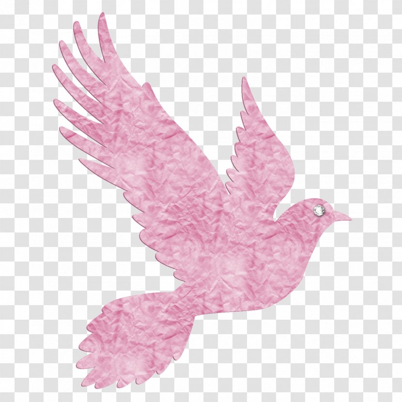 Pigeons And Doves Vector Graphics Clip Art Illustration - Beak - Bird Transparent PNG