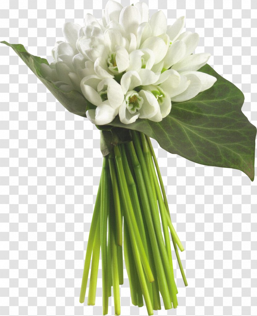 Flower Bouquet Jasmine Floristry - Wedding Dress - Of White Material Transparent PNG