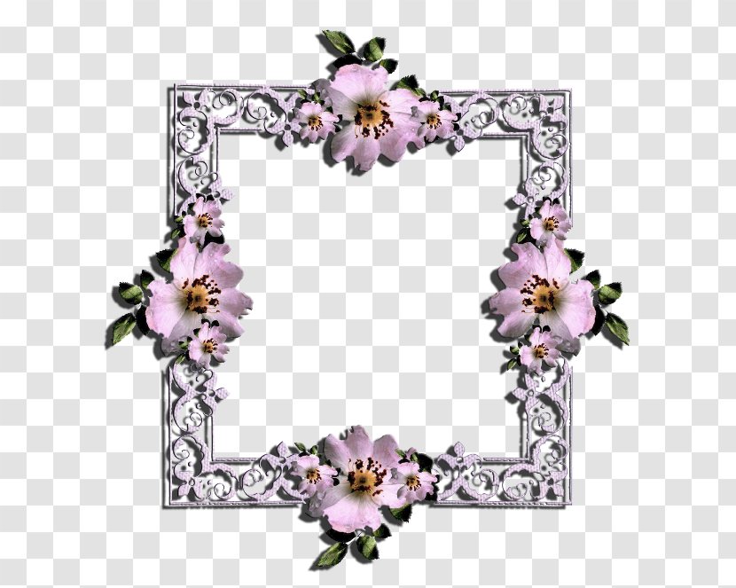 Floral Wreath Frame - Interior Design - Plant Transparent PNG