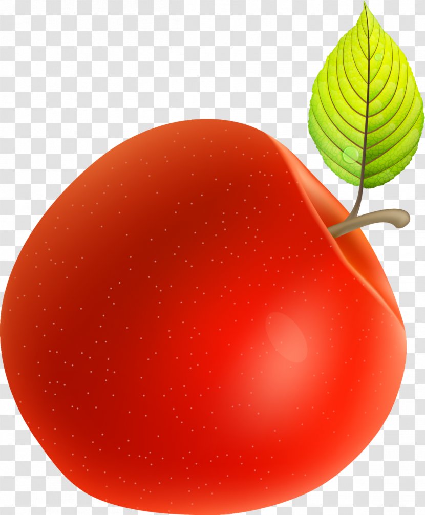 Red Plum Tomato Apple - Orange - Hand Painted Transparent PNG