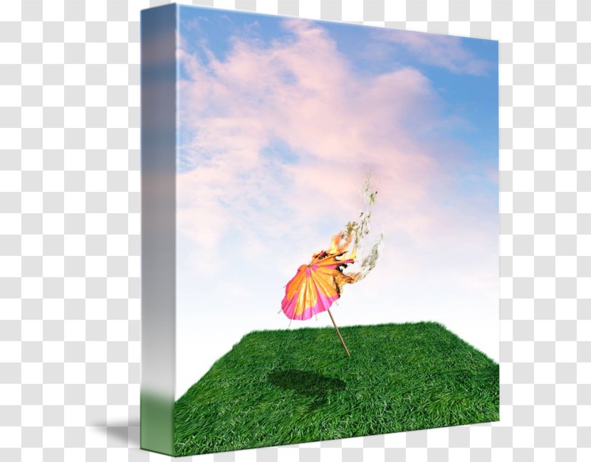 Ecosystem Meadow - Butterfly - Sky Grass Transparent PNG