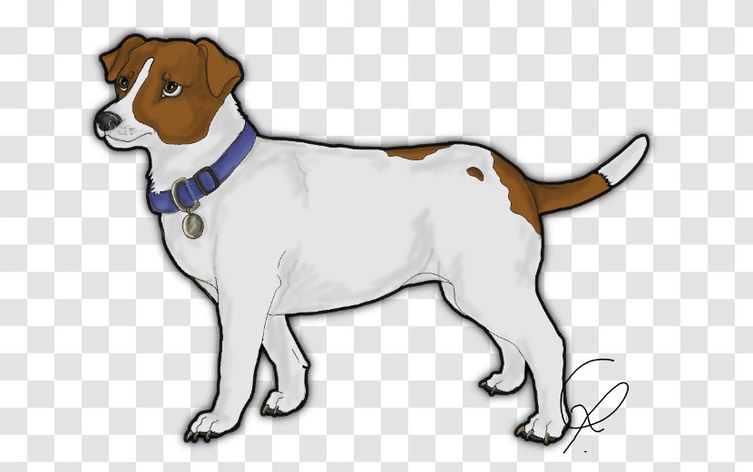 Dog Breed English Foxhound Harrier Puppy Jack Russell Terrier - Like Mammal Transparent PNG