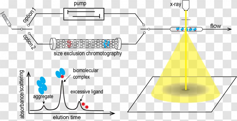 Small-angle X-ray Scattering - Diagram Transparent PNG