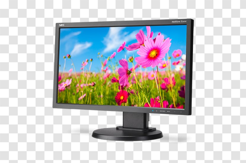 LED-backlit LCD Computer Monitors IPS Panel Liquid-crystal Display Backlight - Monitor - Output Device Transparent PNG