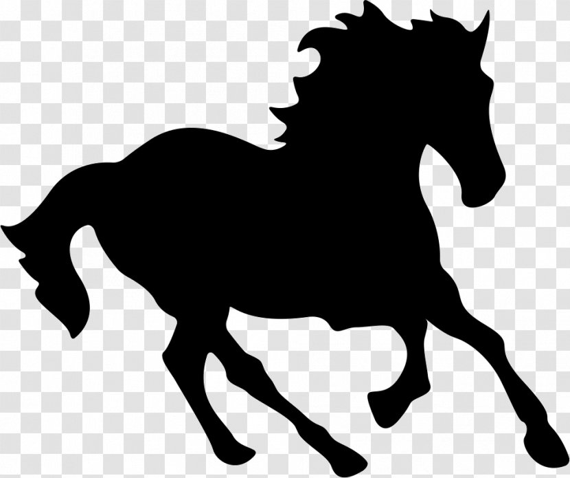 Mustang Riding Pony Equestrian Wild Horse - Stallion Transparent PNG