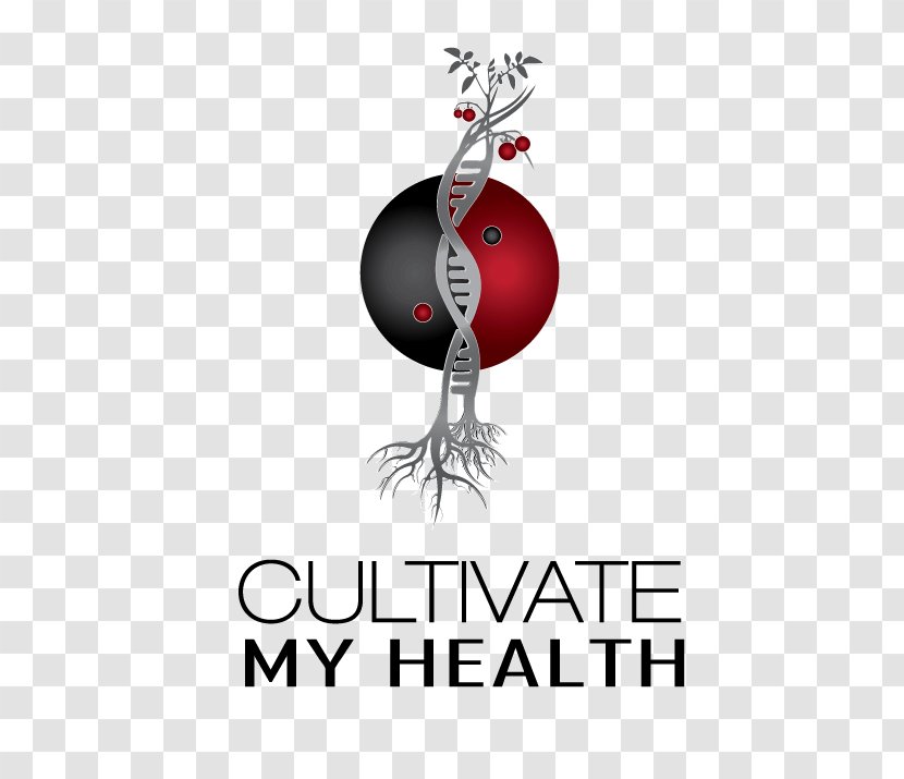 Discover Chinese Medicine Health Nutrigenomics Traditional - Melbourne Transparent PNG