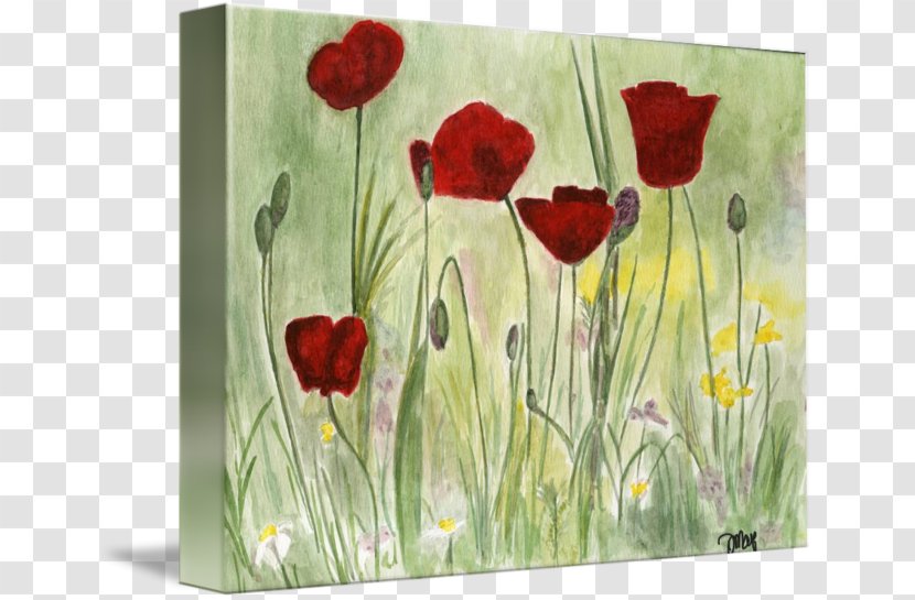 Flower Watercolor Painting Acrylic Paint - Still Life - Red Poppy Transparent PNG