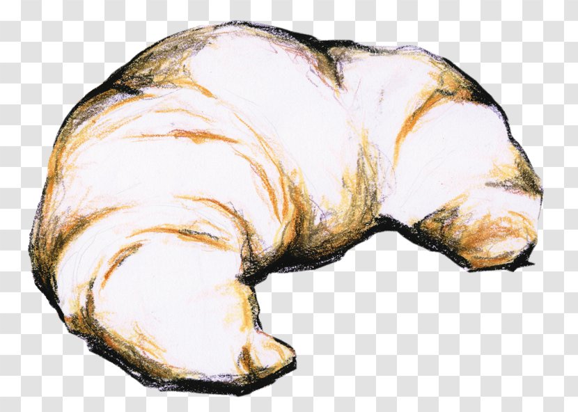 Animal Source Foods - Food - Сroissant Transparent PNG