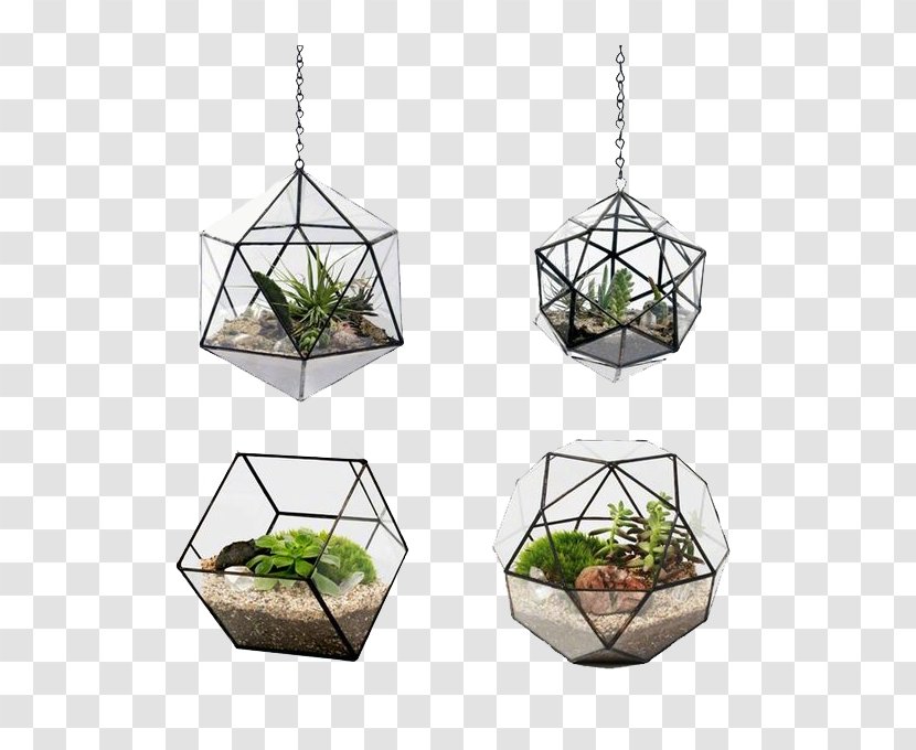 Flowerpot Terrarium Glass Android - Tree - Plant Potted Wall Transparent PNG