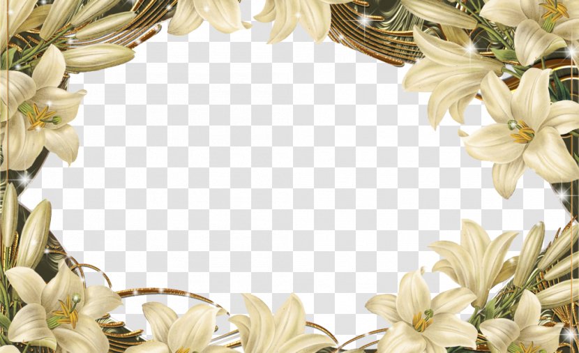 Flower Floral Design Picture Frame - Cut Flowers - Border Transparent PNG