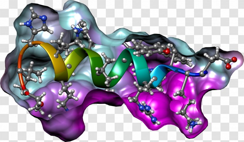 Organism - Purple - Crizotinib Transparent PNG