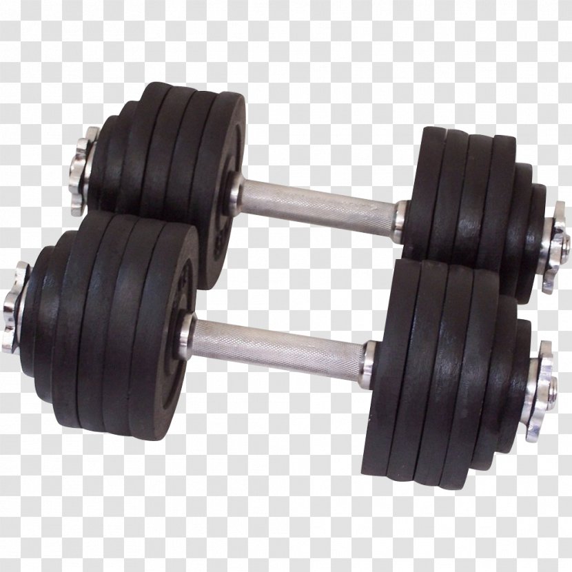 Dumbbell Weight Training Barbell Strength Exercise Equipment - Olympic Weightlifting Transparent PNG