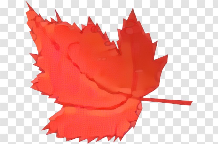 Red Maple Tree - Andalusian Horse - Petal Coquelicot Transparent PNG