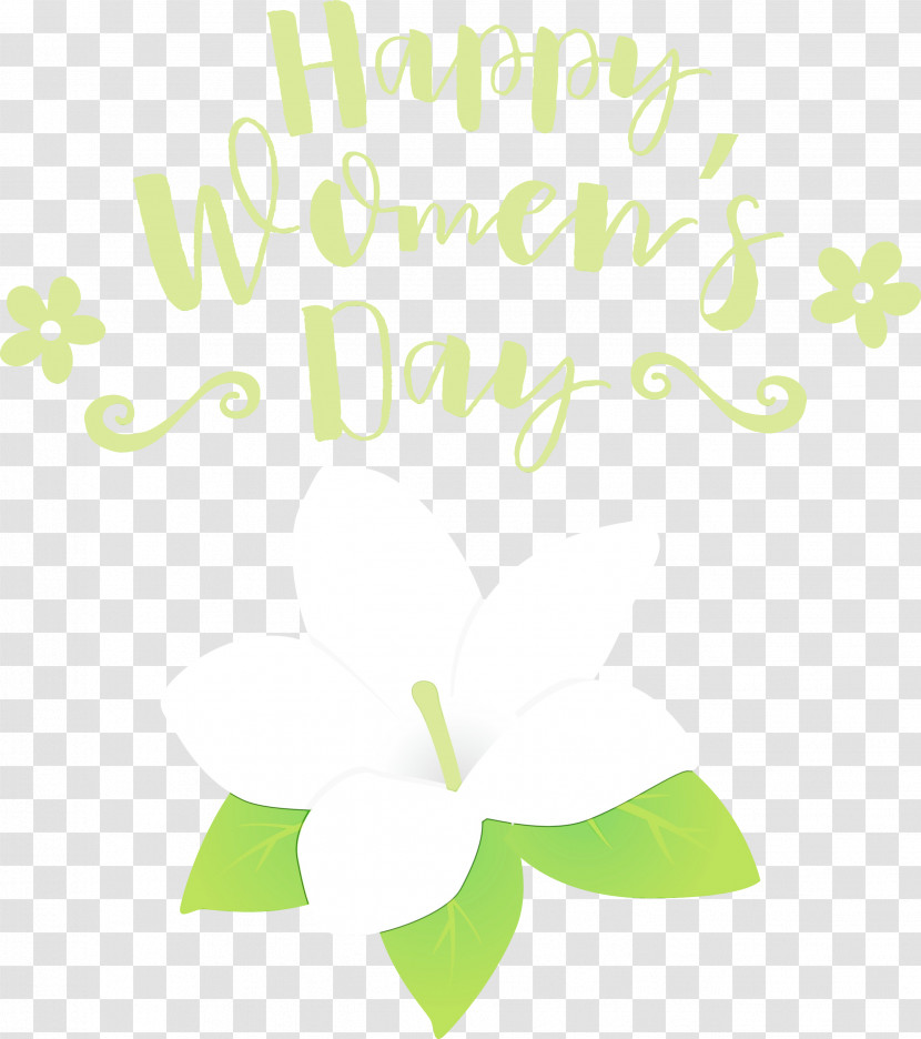 Floral Design Transparent PNG