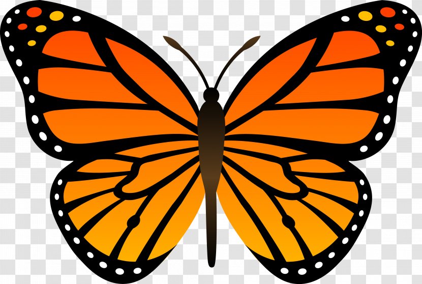 Monarch Butterfly Insect Clip Art - Royalty Free - Orange Image, Butterflies Download Transparent PNG
