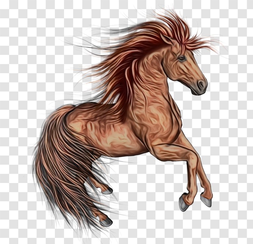 Horse Mane Mustang Sorrel Liver - Paint - Mare Fictional Character Transparent PNG
