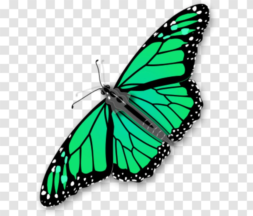 Monarch Butterfly Clip Art - Chrysalis Cliparts Transparent PNG