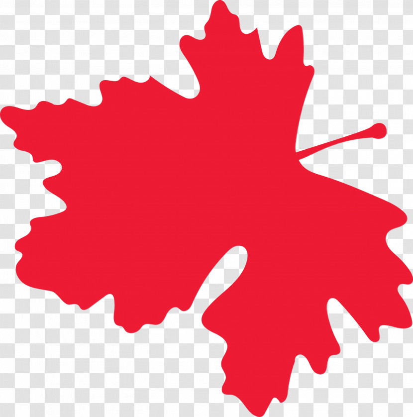 Maple Leaf Transparent PNG