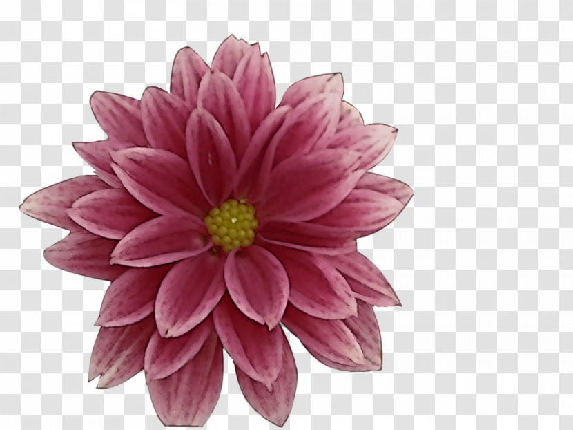 Artificial Flower Transparent PNG