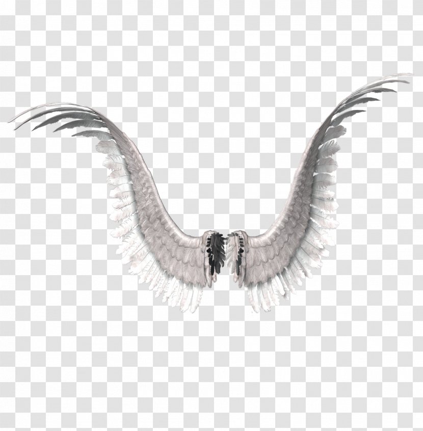 PhotoScape Clip Art - Jaw - Wings Transparent PNG