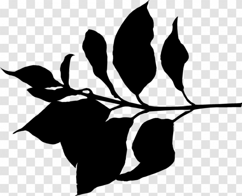 Twig Clip Art Plant Stem Flower Leaf - White Transparent PNG