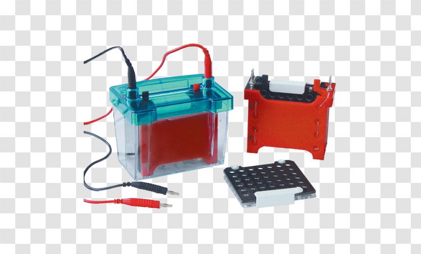 Western Blot Gel Electrophoresis Science - Membrane Transparent PNG