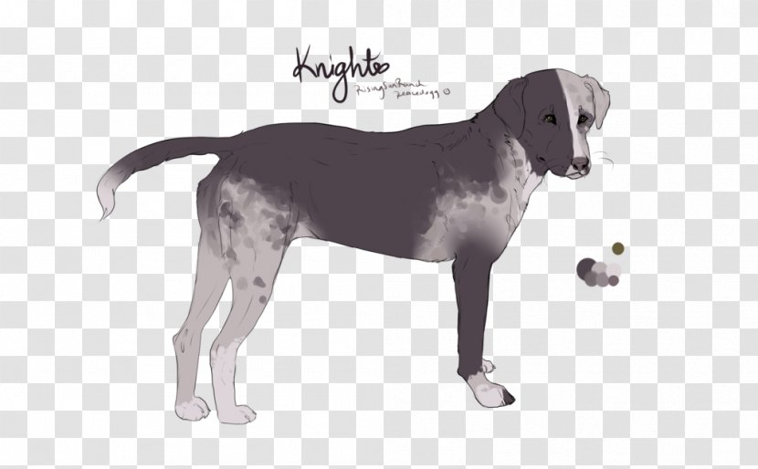 Harrier English Foxhound American Treeing Walker Coonhound Dog Breed - Catahoula Transparent PNG