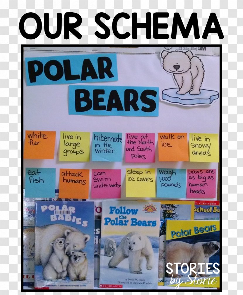 How Do Polar Bears Stay Warm? Homework Classroom - Book - Bear Transparent PNG