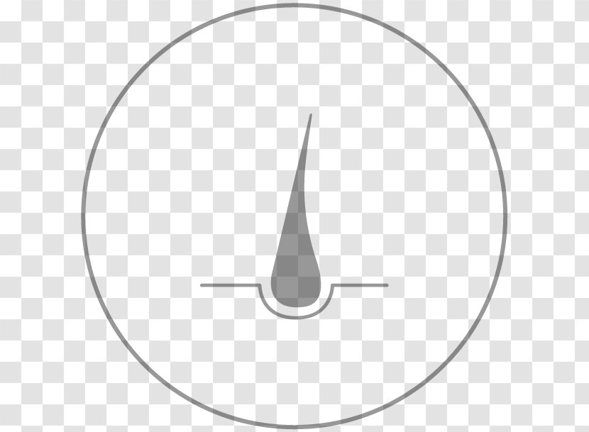 White Circle Line Art Angle Beautician - Eyelash Extention Transparent PNG