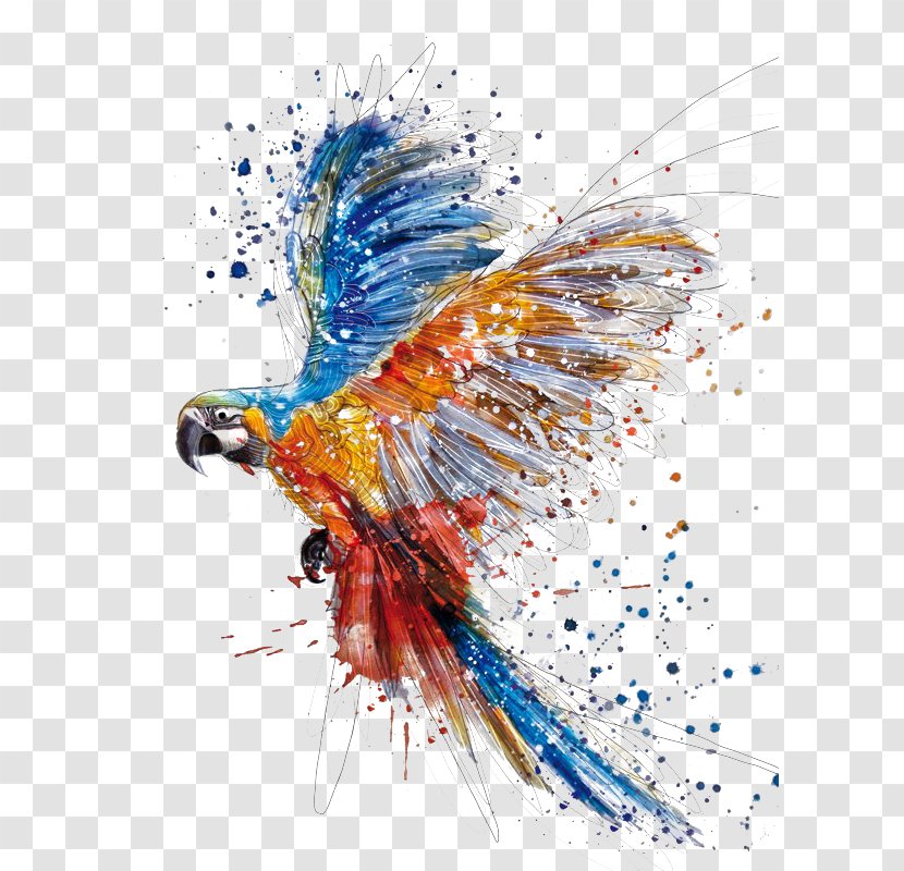 Watercolor Painting Drawing Illustration - Art - Hand Colored Parrot Birds Splash Transparent PNG