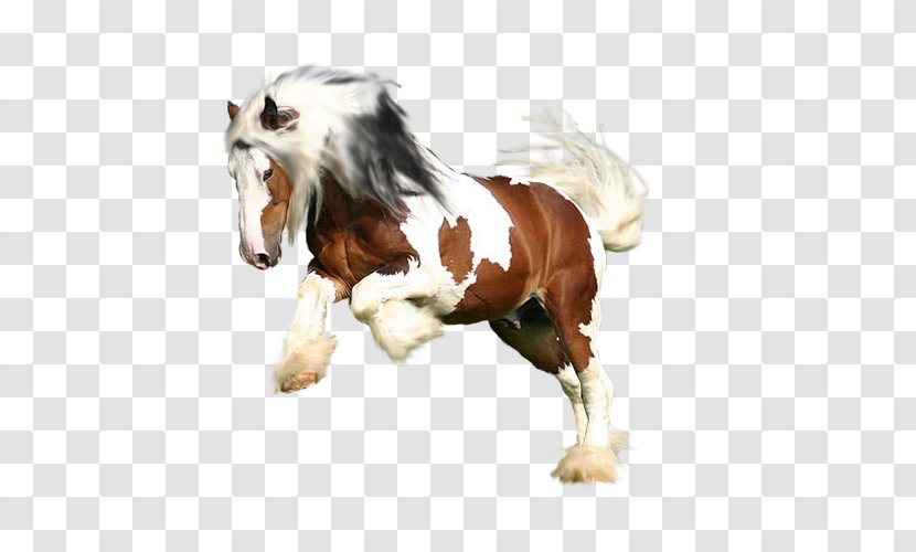 Mustang Stallion Pony Painting - Horse Like Mammal Transparent PNG
