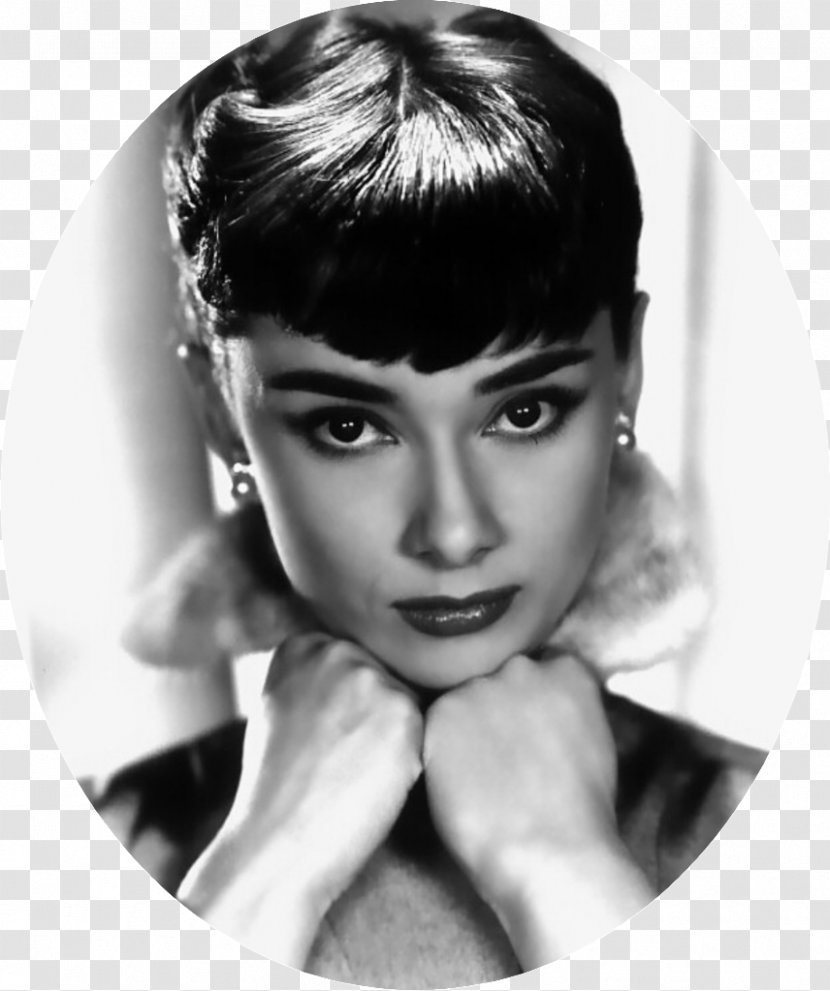Audrey Hepburn Roman Holiday Art Film - Chin - Actor Transparent PNG