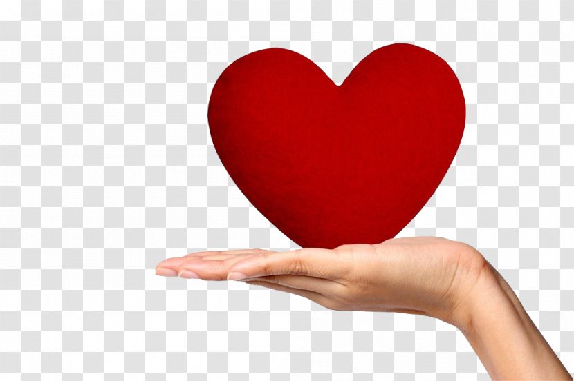 Heart Hand Google Images Clip Art - Holding Red Transparent PNG