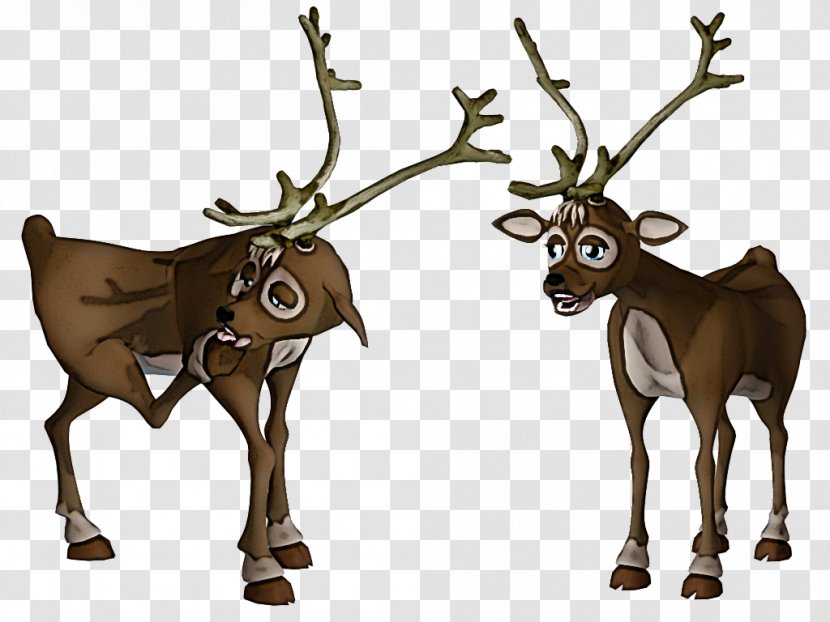 Reindeer - Wildlife - Animal Figure Fawn Transparent PNG