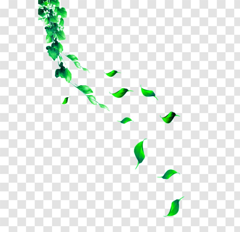 Adobe Illustrator Clip Art - Green - And Fresh Leaves Floating Material Transparent PNG