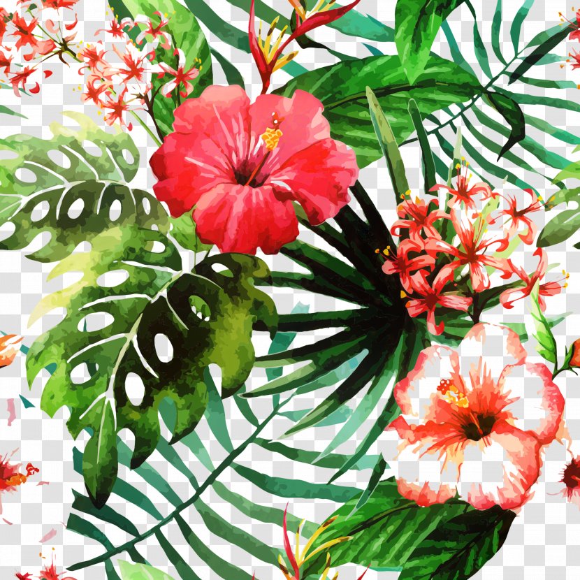 Watercolor Flower Background - Plant - Geranium Impatiens Transparent PNG