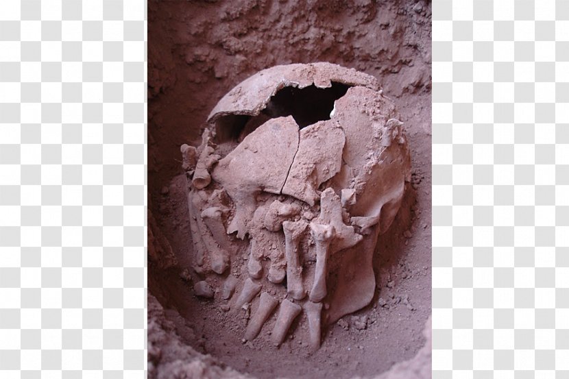 Decapitation Lapa, Rio De Janeiro Do Santo Burial Archaeology - Anthropologist - Dead Body Transparent PNG