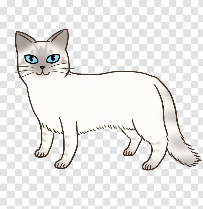 Whiskers Balinese Cat Kitten Domestic Short-haired Tabby Transparent PNG