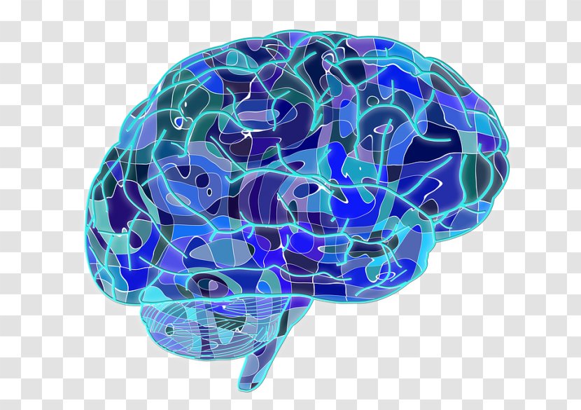 Blue Brain Project Cognitive Training Neuron Neuroscience - Cartoon - Microwave Auditory Effect Transparent PNG