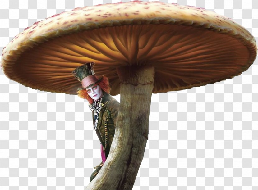 The Mad Hatter YouTube Desktop Wallpaper High-definition Video 4K Resolution - Mushroom - Hayden Panettiere Transparent PNG
