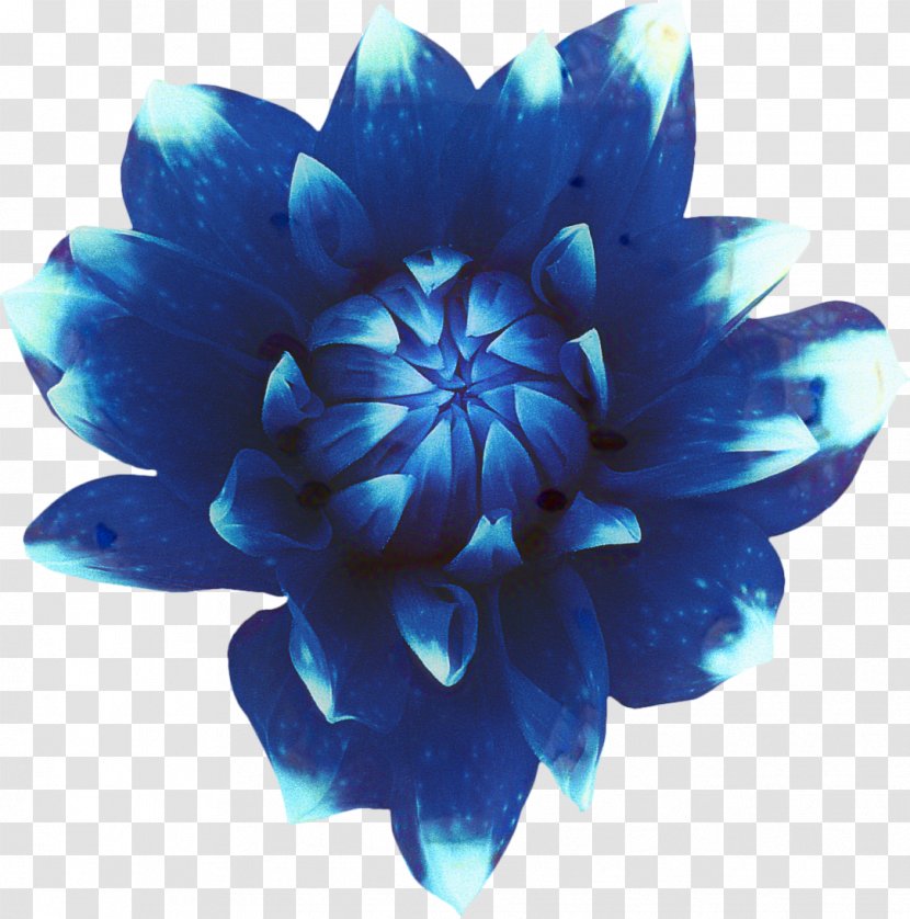 Watercolor Flower Background - Plants - Aquatic Plant Electric Blue Transparent PNG