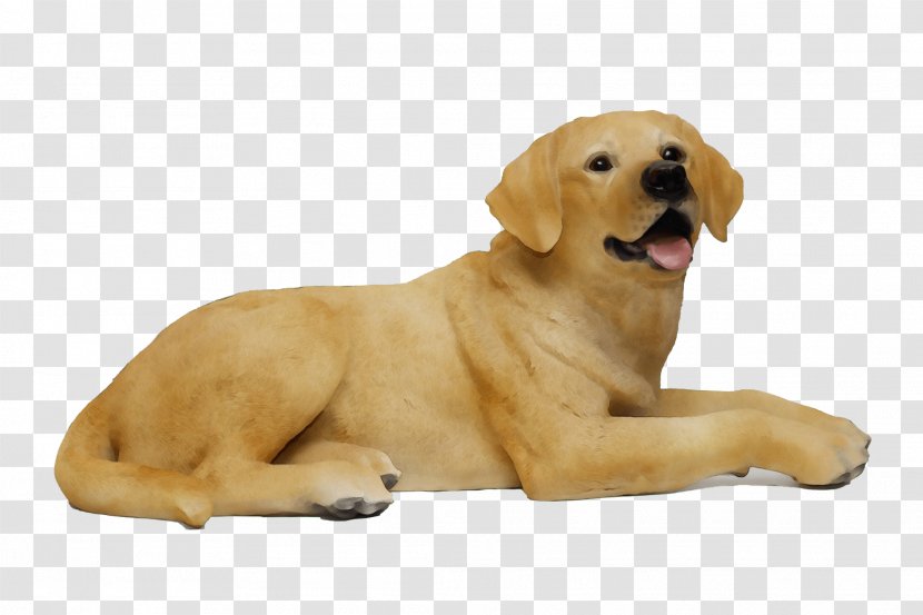 Golden Retriever Background - Animal Figure Ancient Dog Breeds Transparent PNG