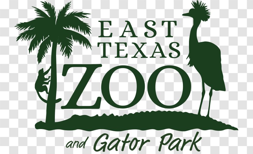 East Texas Zoo & Gator Park Logo ZooMontana - Tree - Playful Transparent PNG