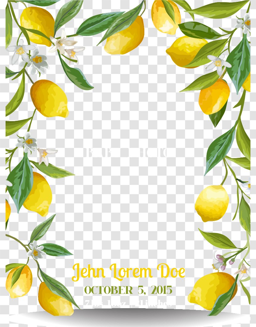 Lemon - Citron - Fresh Border Transparent PNG
