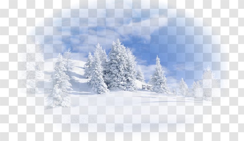 Snow Landscape Winter Cold Borovets Transparent PNG