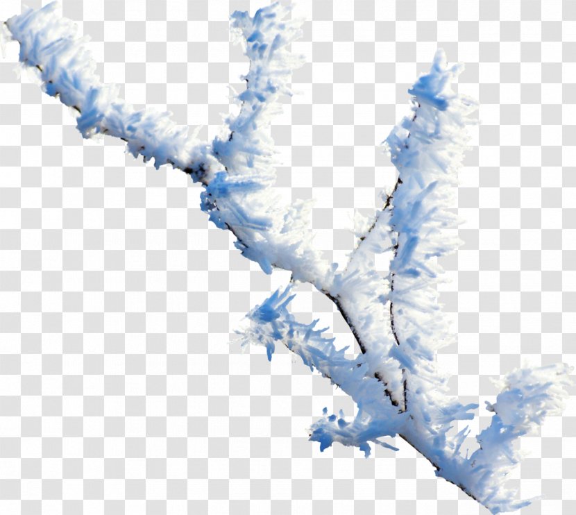 Branch Twig Snow Clip Art Transparent PNG